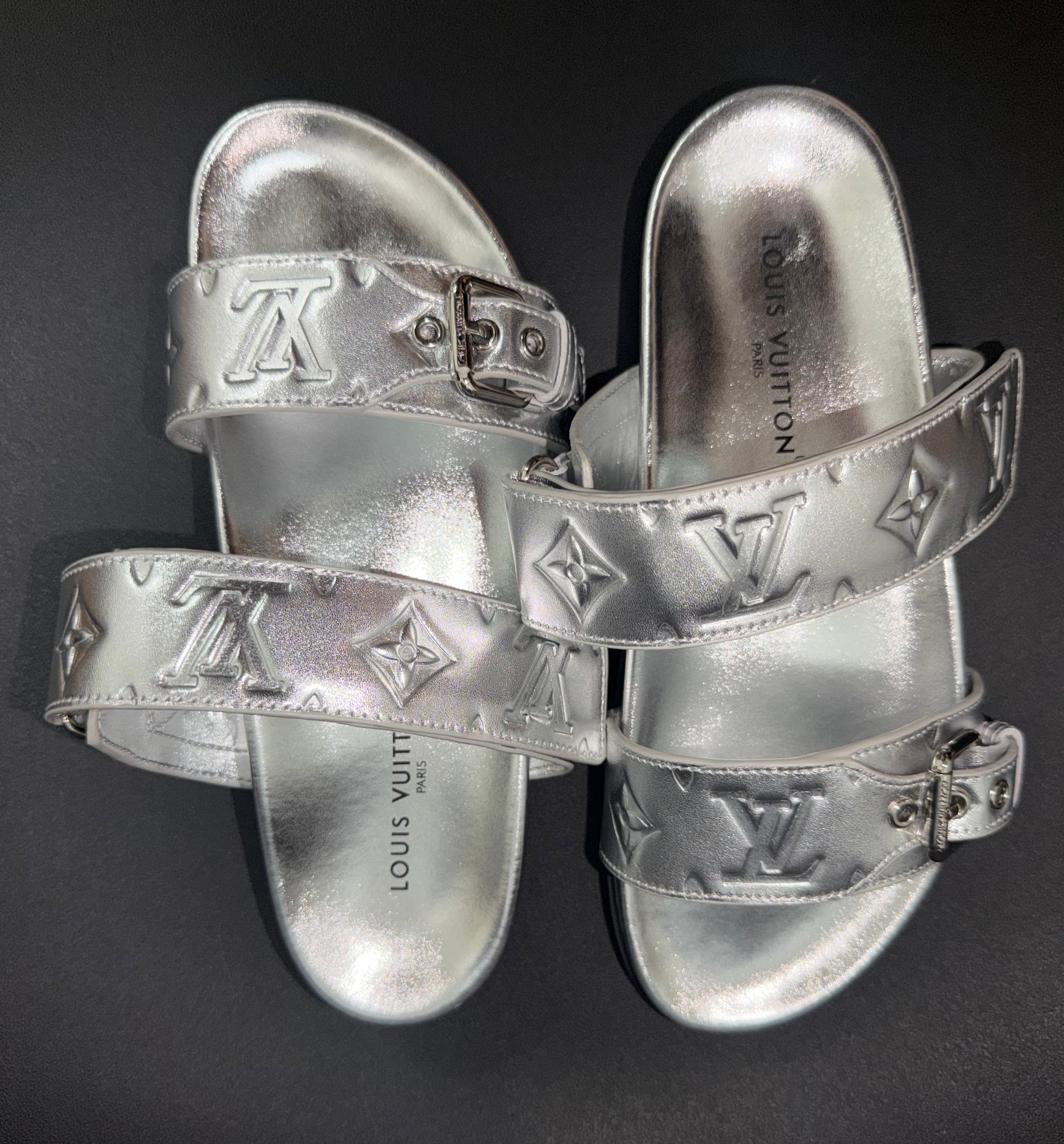 Silver Slides